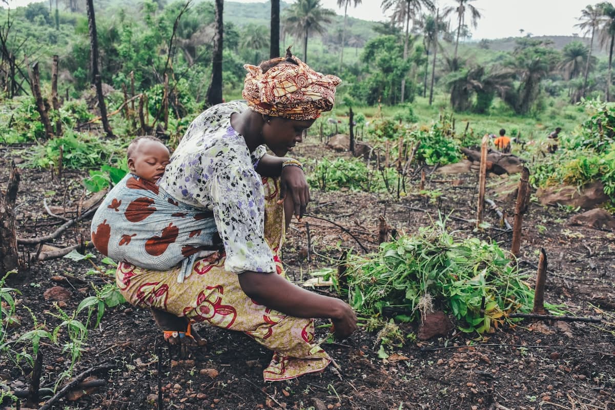 Tree-planting and agroforestry activity